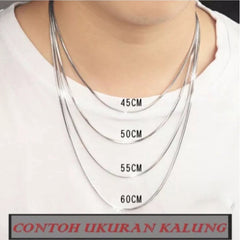 Kalung Titanium Model Casandra Pipih Untuk Pria Dan Wanita